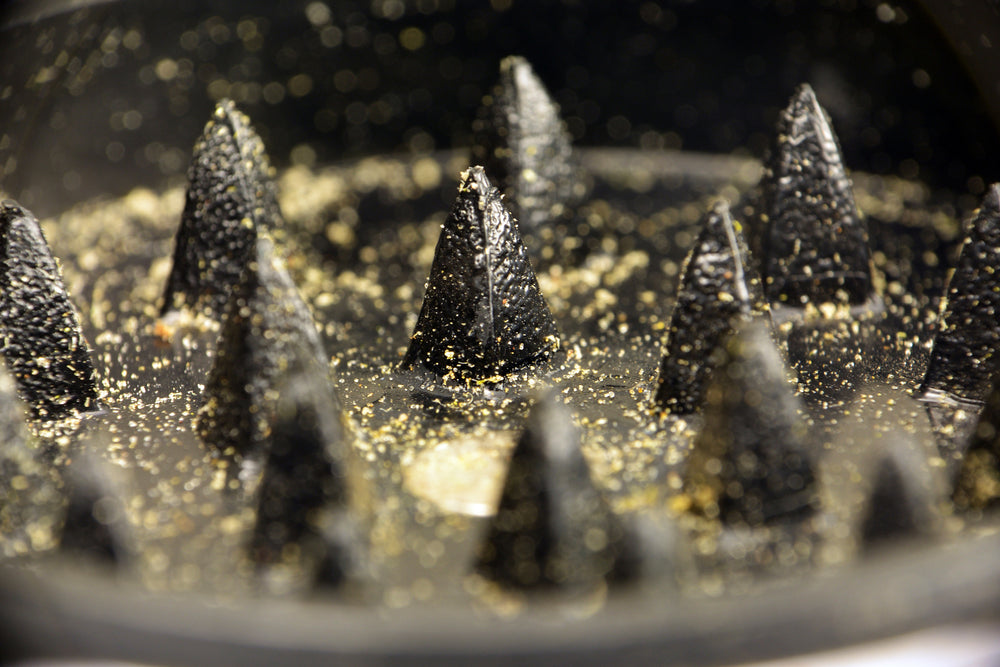 How to Clean Your Grinder (and Save Your Kief) 