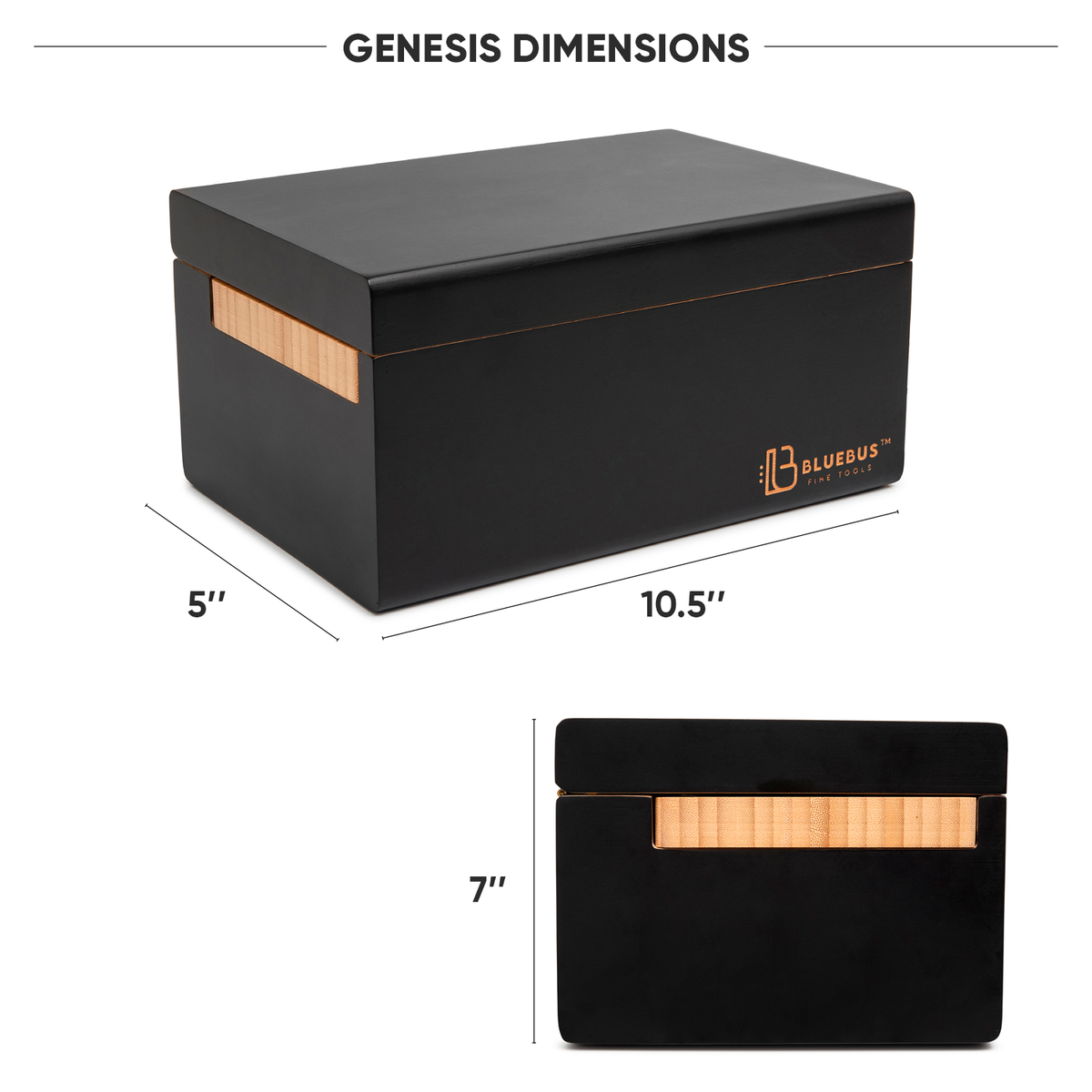 GENESIS Storage Stash Box with Lock