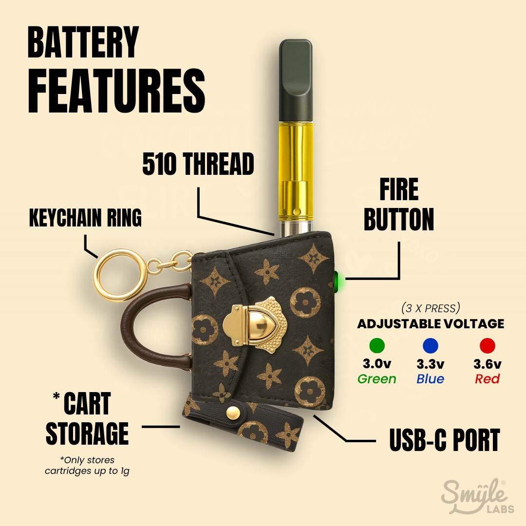 Purse cart battery Penjamin 