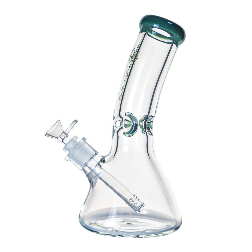 9mm Clear Thick Glass Bent Neck Bong Small Size with Downstem and Flower Bowl on white background.